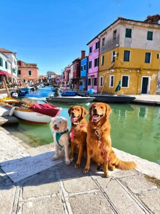 burano italijanski otok obisk s psom s psom na pot potepanje s psom