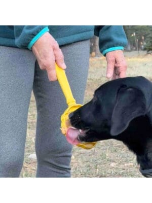 sodapup lick stick target stick beehive