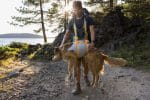 Ruffwear BackTrak oprsnica za reševanje - slika 3