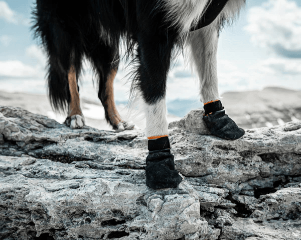 non stop protector booties pasje nogavičke čevlji za psa