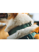 Ruffwear Front Range Flex Ovratnica Deep Teal - slika 2
