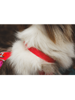 mehka ovratnica za psa front range flex ruffwear