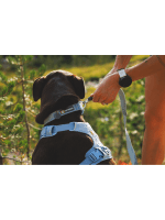 Ruffwear Front Range Flex oprsnica Polar Blue - slika 2