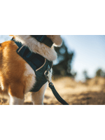Ruffwear Front Range Flex oprsnica Deep Teal - slika 3