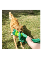 Kong knots Frog - slika 2