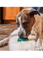 Woof Pupsicle zelen - slika 4