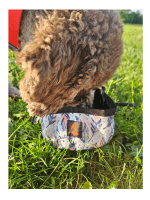 FIREDOG najlonska prenosna posodica za vodo za pse Berry Dandelion 1l - slika 2