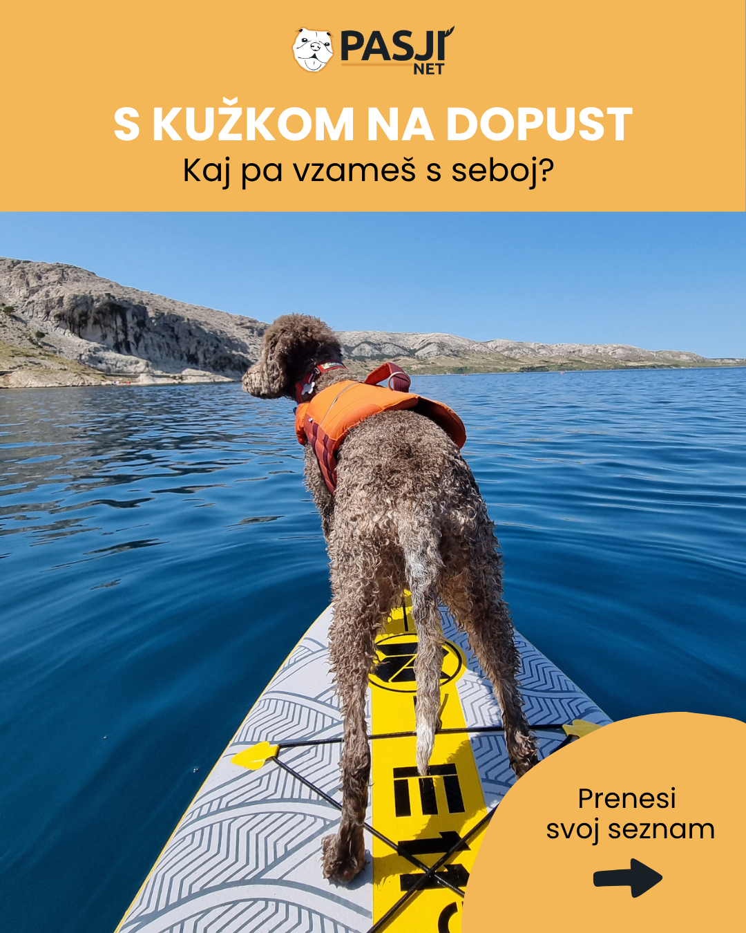 seznam za dopust s psom potepanje s psom s psom na pot kam s psom na dopust