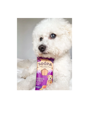 Veganski dentalni priboljški za senior pse Soopa Senior Dental Sticks brez žit