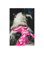 Oprsnica za psa s sprednjim pripenjanjem Nastavljiva Ruffwear oprsnica za pse