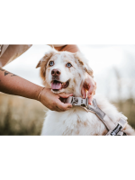Non-stop dogwear Sand Y oprsnica za psa