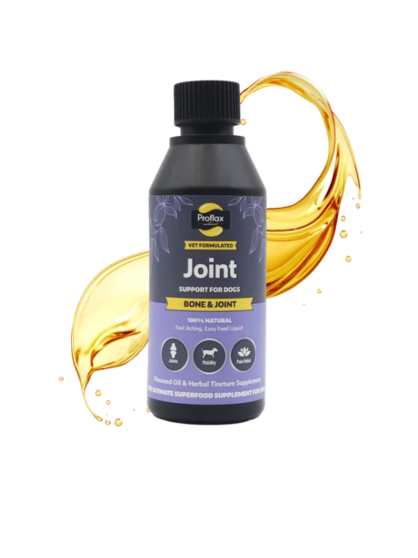 Proflax Bone & Joint prehransko dopolnilo za sklepe in gibljivost psa